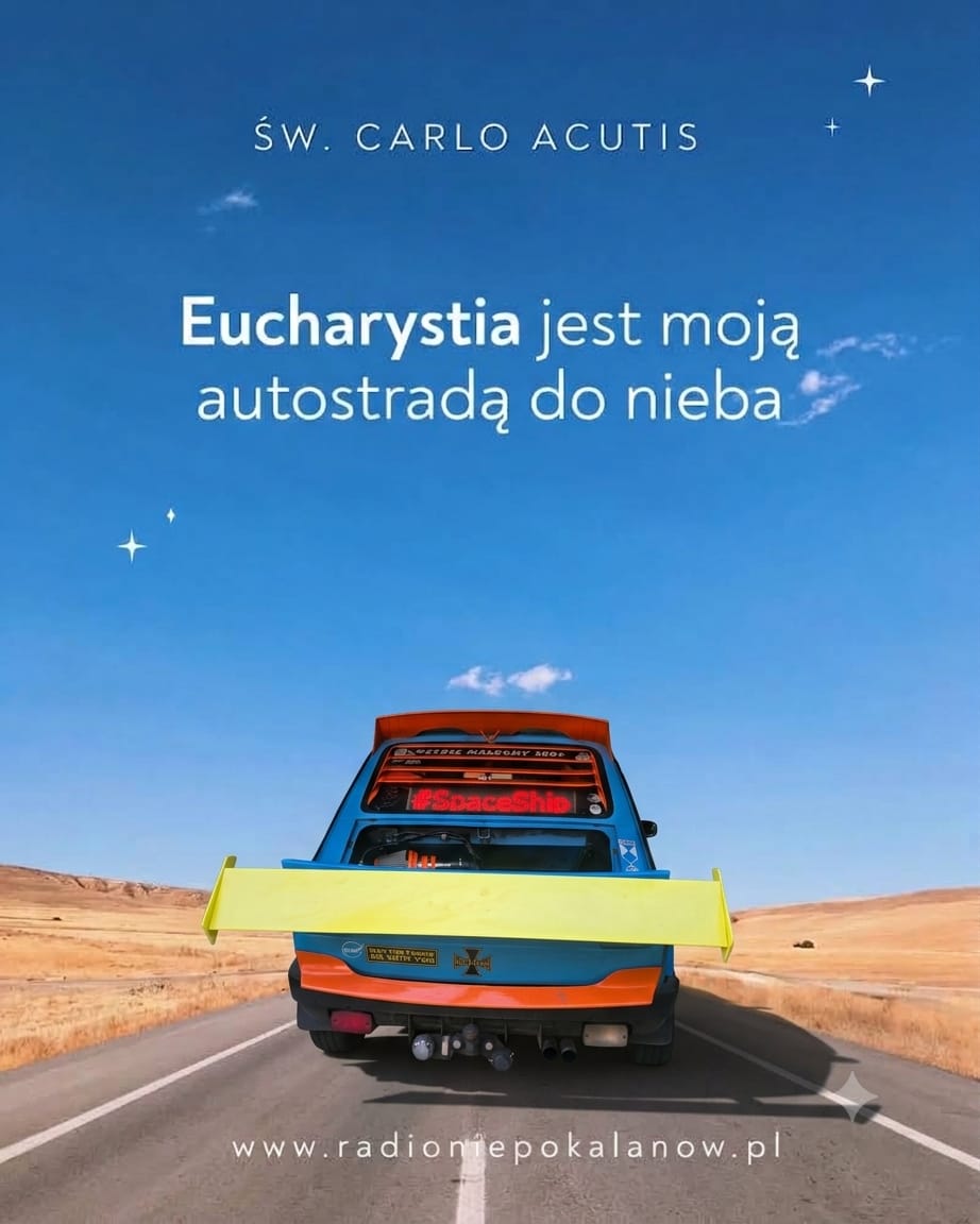 Zdjęcie 5